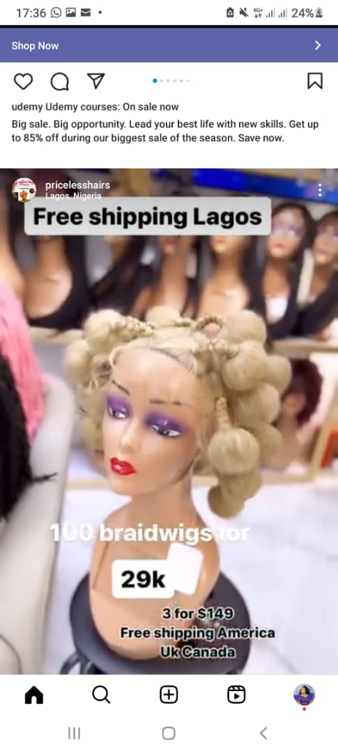 BRAID WIG 044